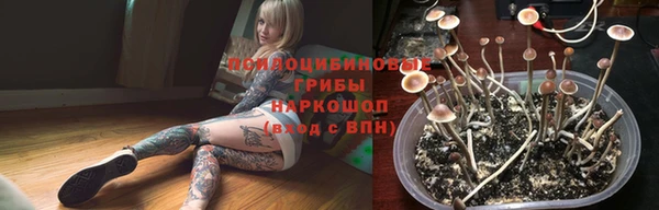 прущие крисы Арсеньев