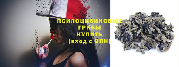 прущие крисы Арсеньев