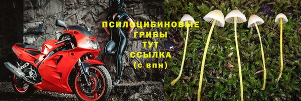 прущие крисы Арсеньев