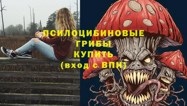 прущие крисы Арсеньев
