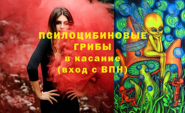 прущие крисы Арсеньев